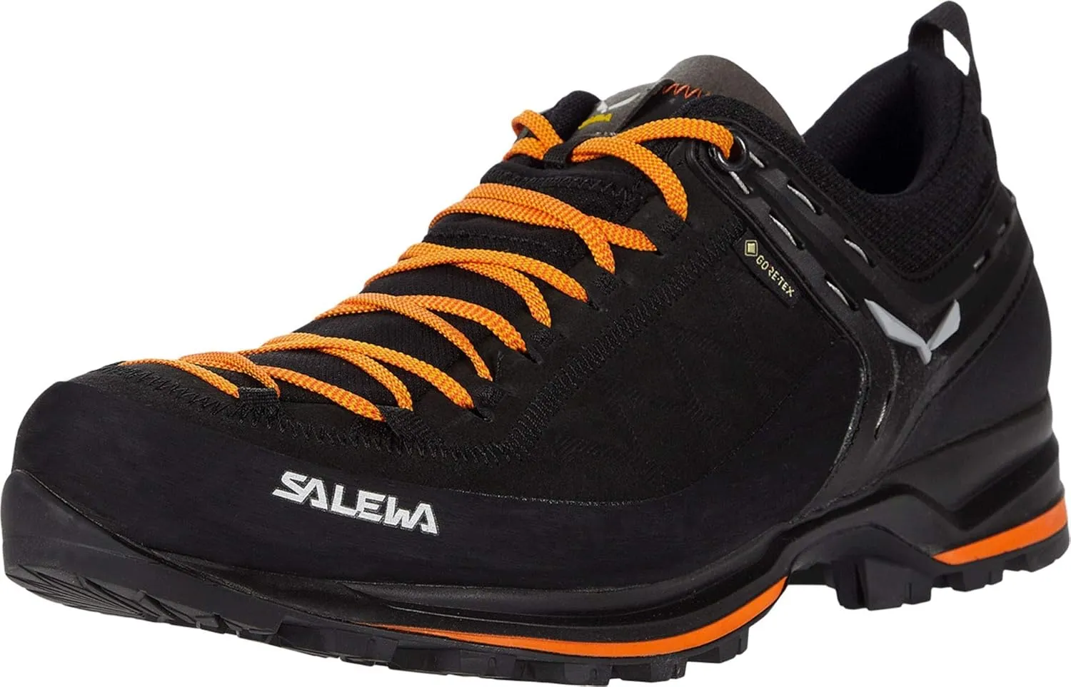 Salewa Men's Mountain MS MTN Trainer 2 GTX